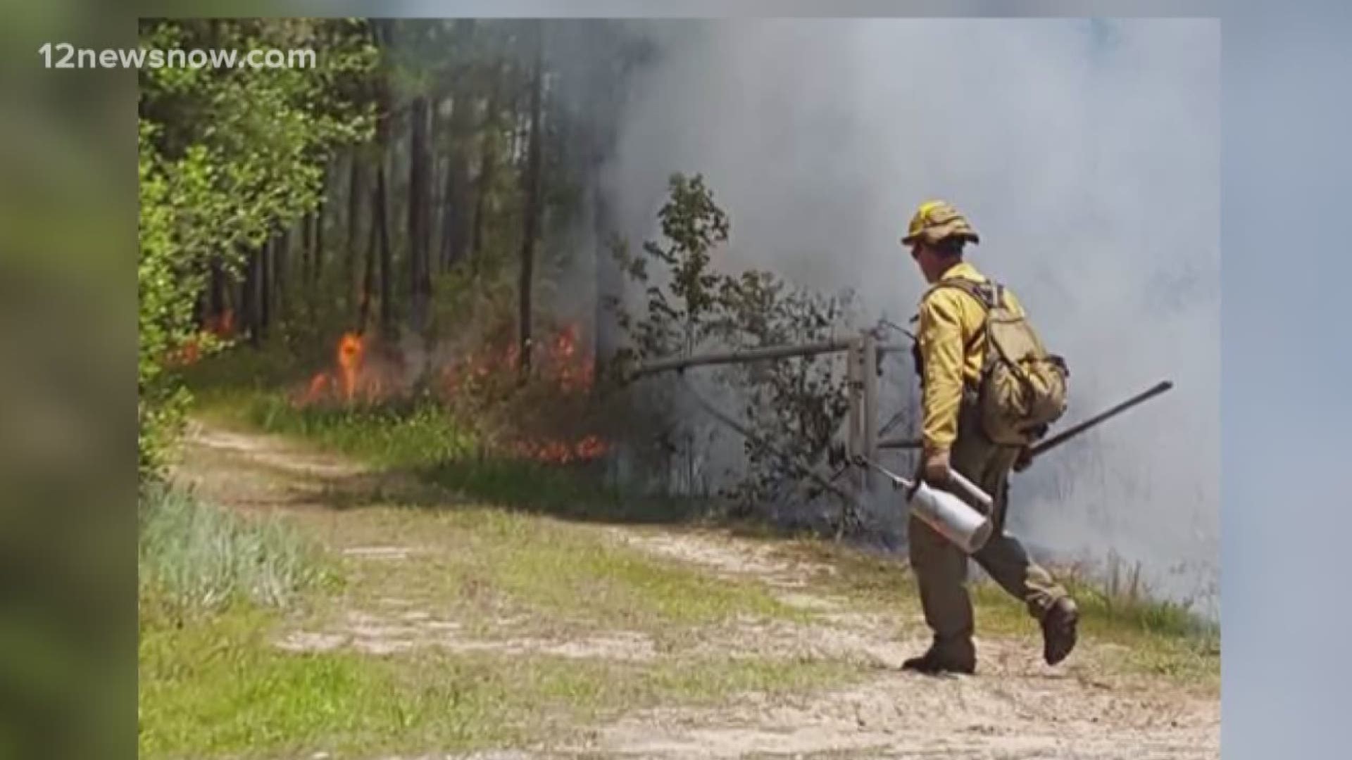 The national parks service burned about 90 acres in 6 hours.