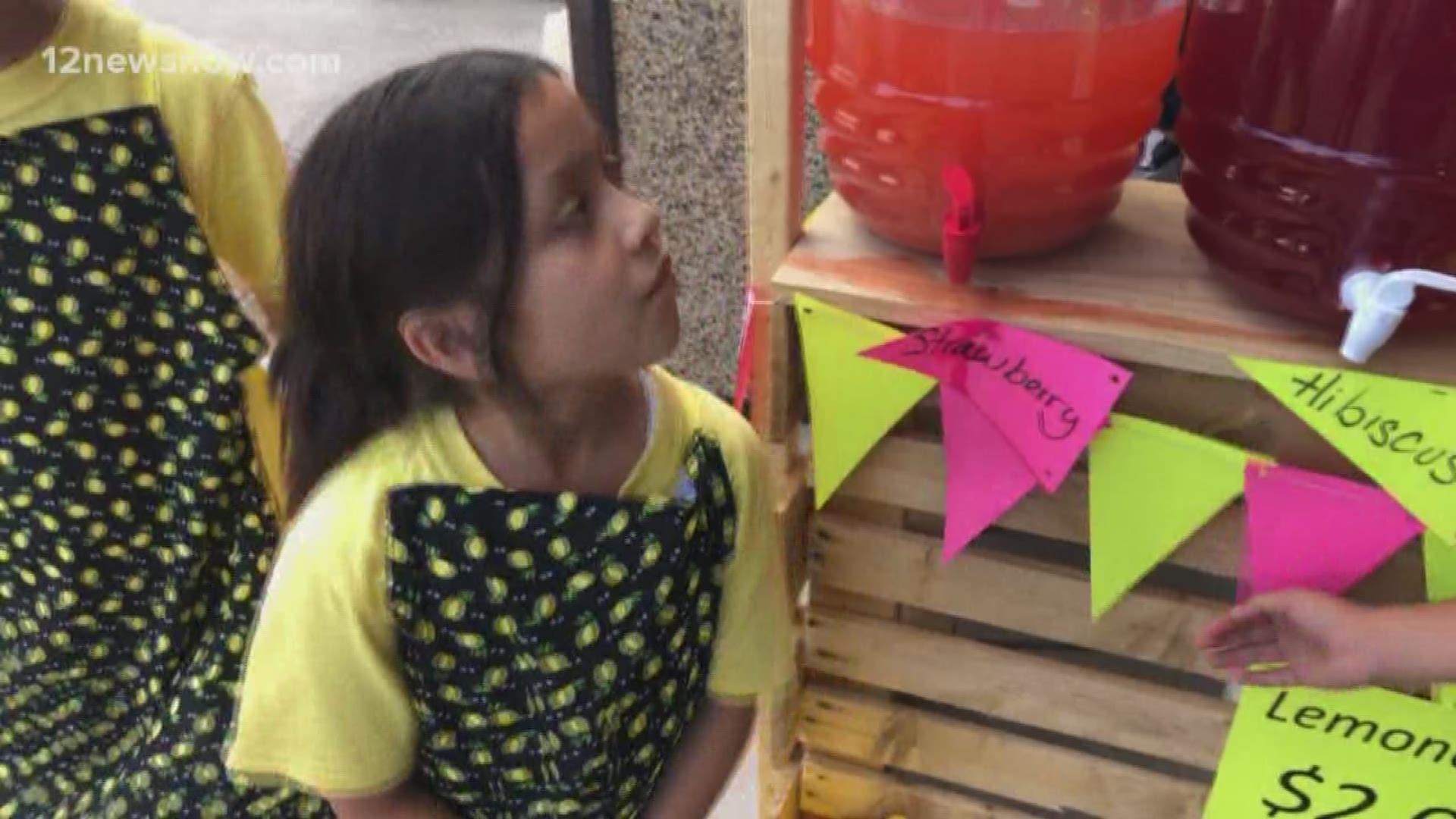 Around 40 different lemonade stands were registered for the 2019 event.