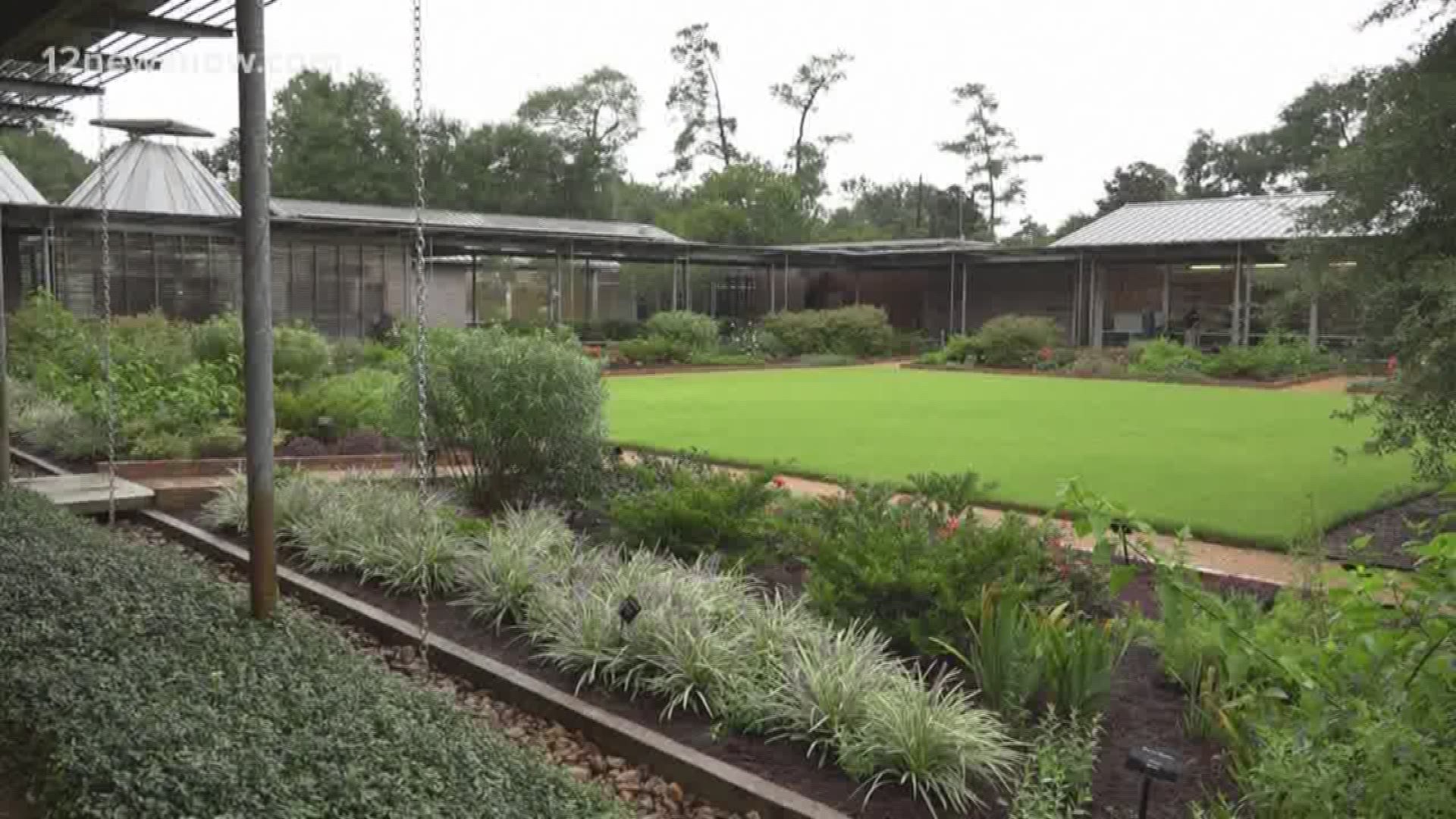 Shangri La Botanical Gardens in Orange re-opens for first time since Tropical Storm Harvey