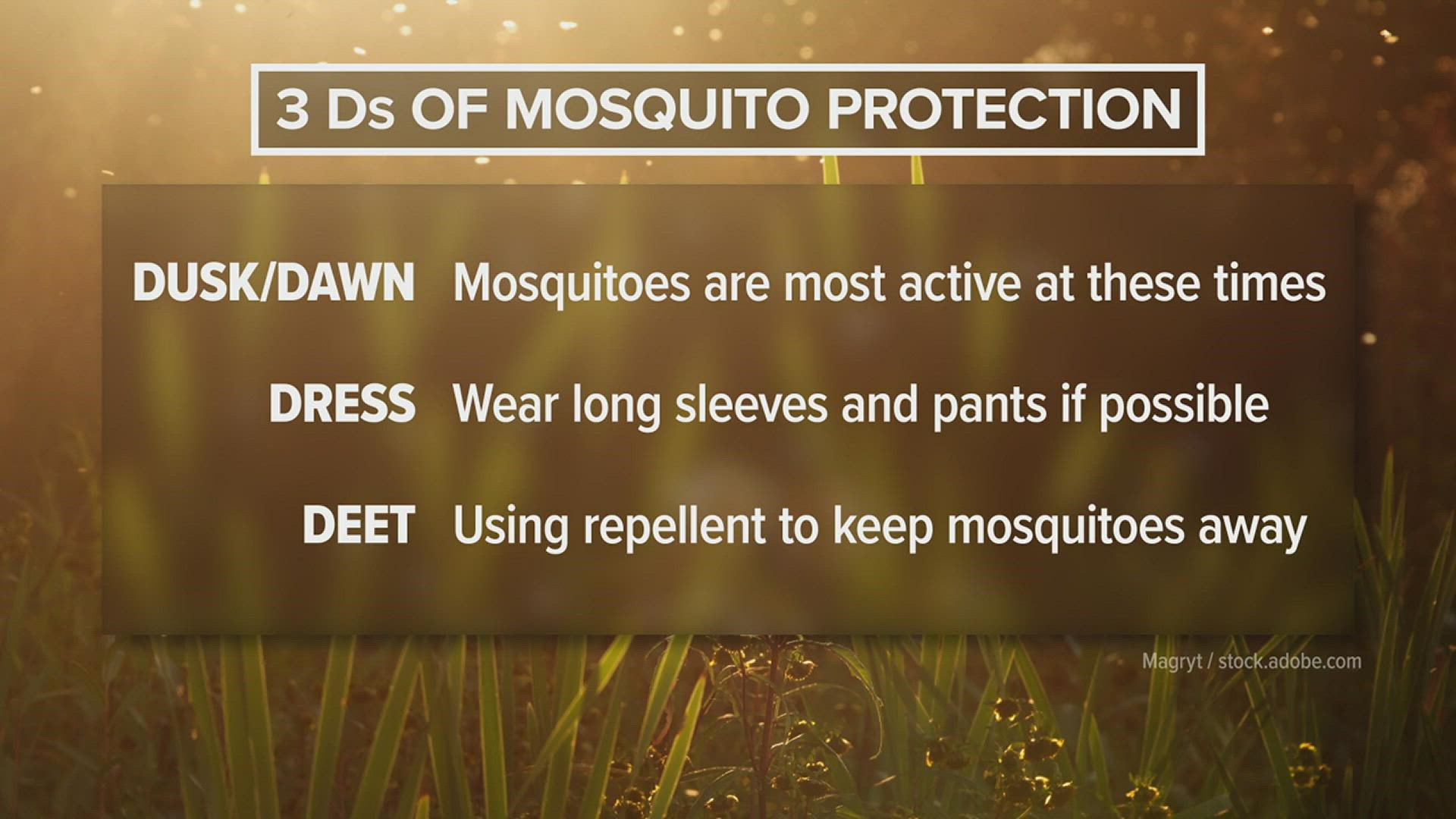 Mosquitoes are more than just a minor inconvenience. They also affect a lot of the work going on at industrial sites in the area.