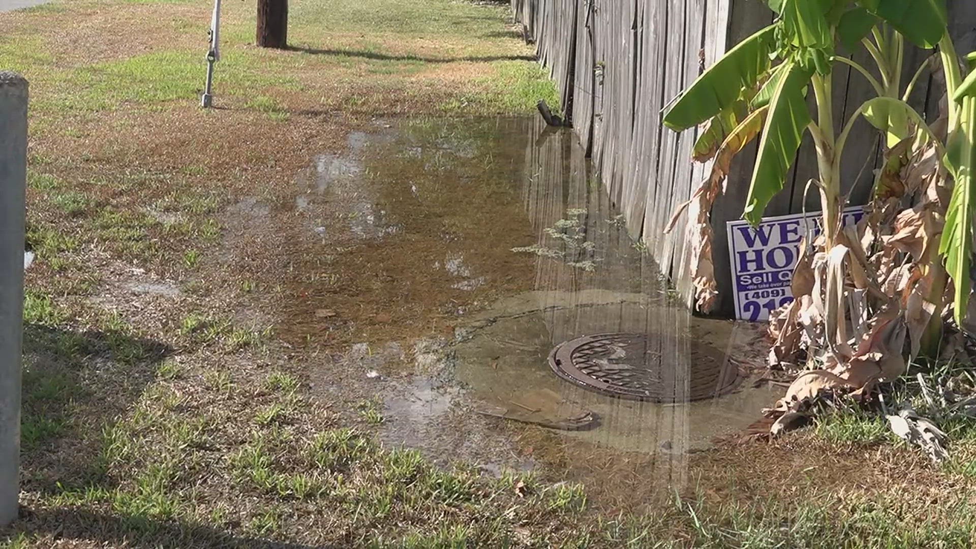 It's easy to find the wasted water gushing into drains, all while the city asks residents to conserve.