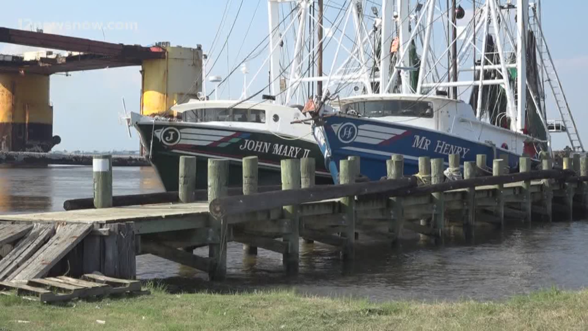 Local Shrimpers having trouble catching this season