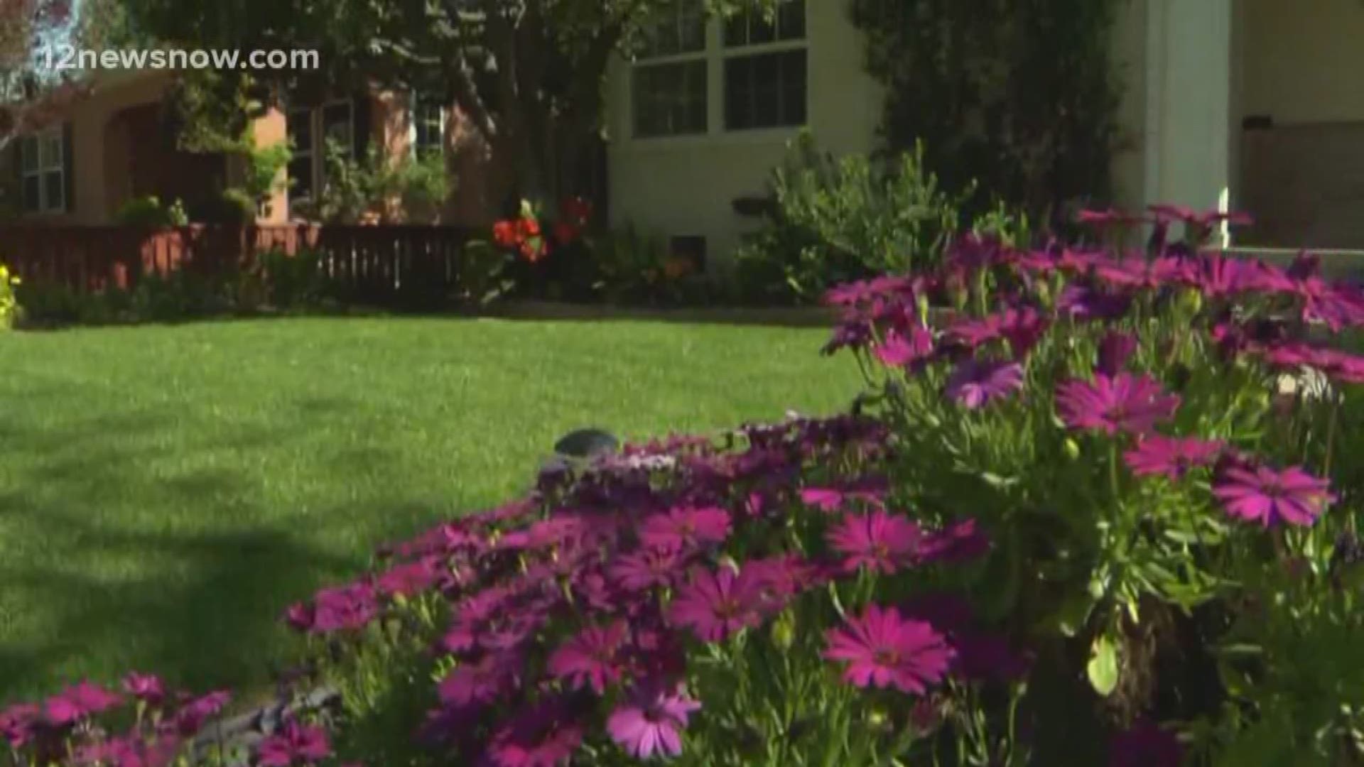 With spring around the corner experts say allergy season may be brutal this year