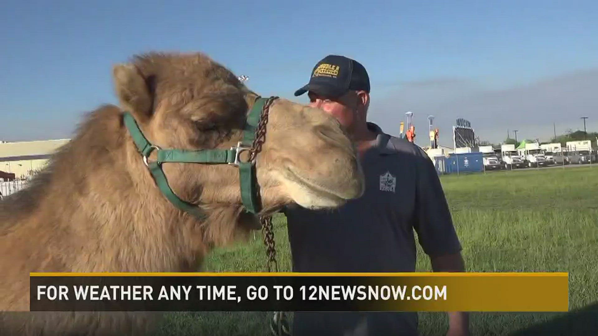 Chief Meteorologist Patrick Vaughn rides camel during weathercast.