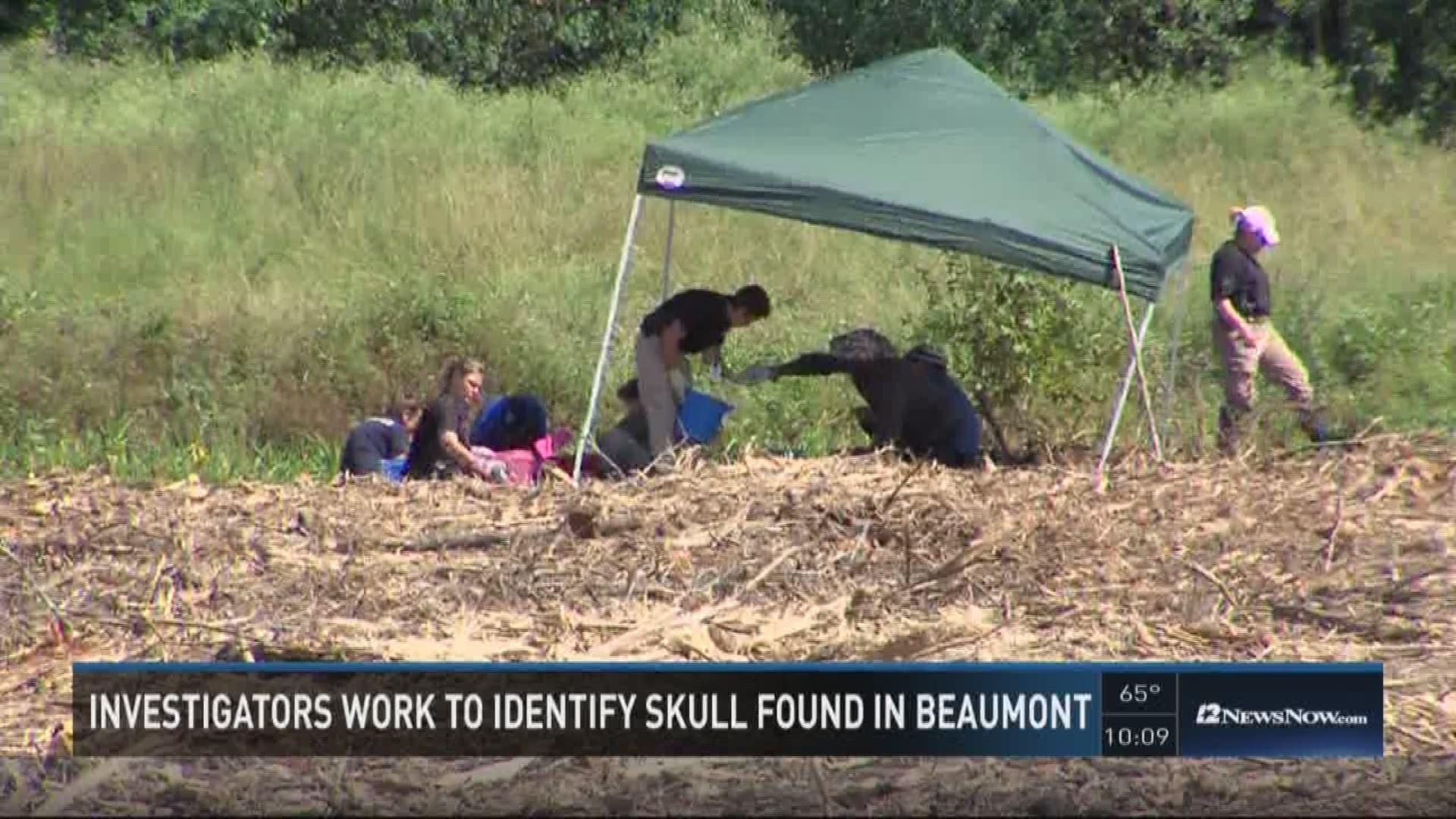 Beaumont Police are trying to figure out the identity of a skull found in a field off Fannett road just a few days ago, now investigators are now using a dog to find the rest of the remains.