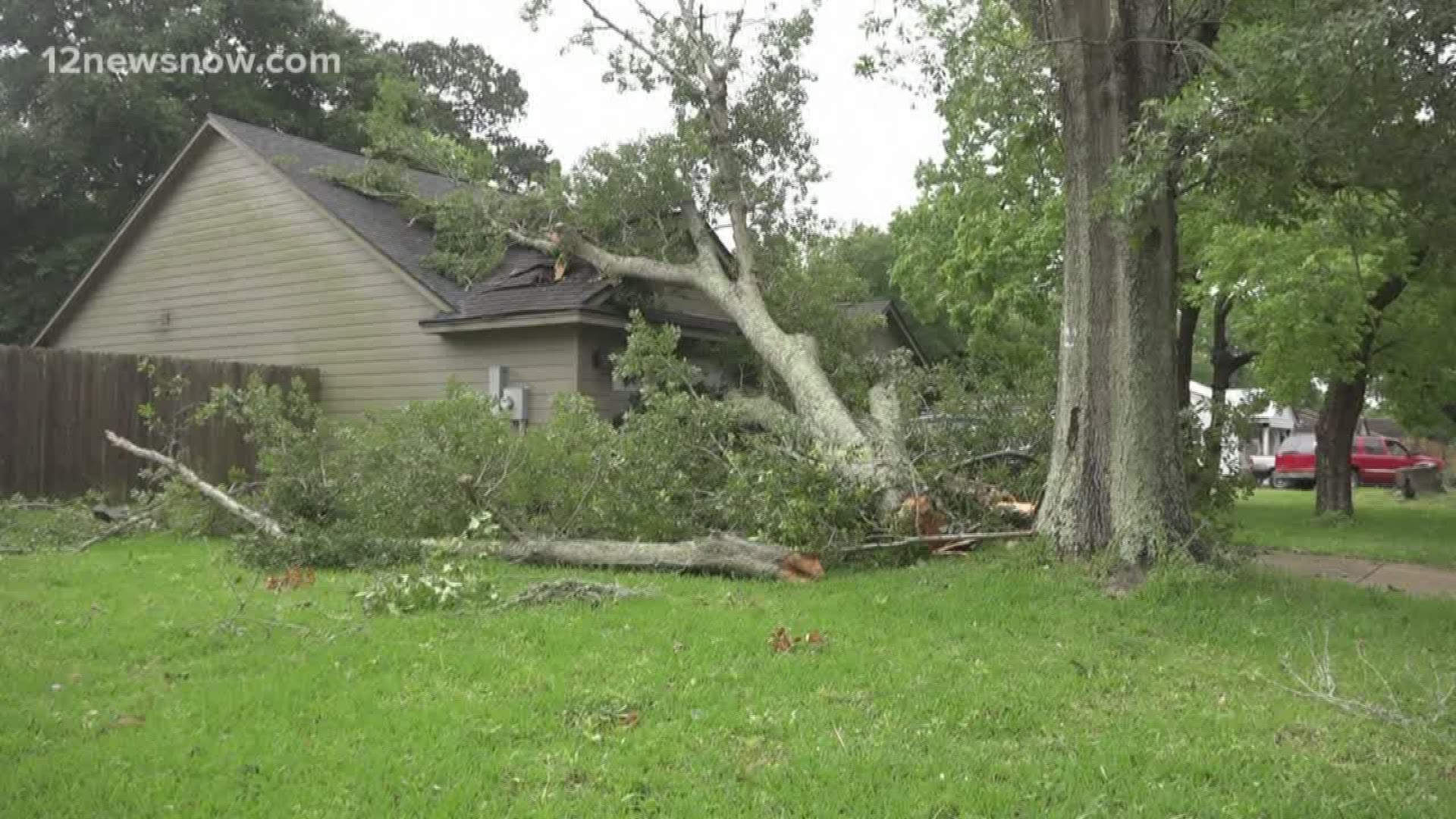 A woman woke up Friday morning to a tree on her car and roof.