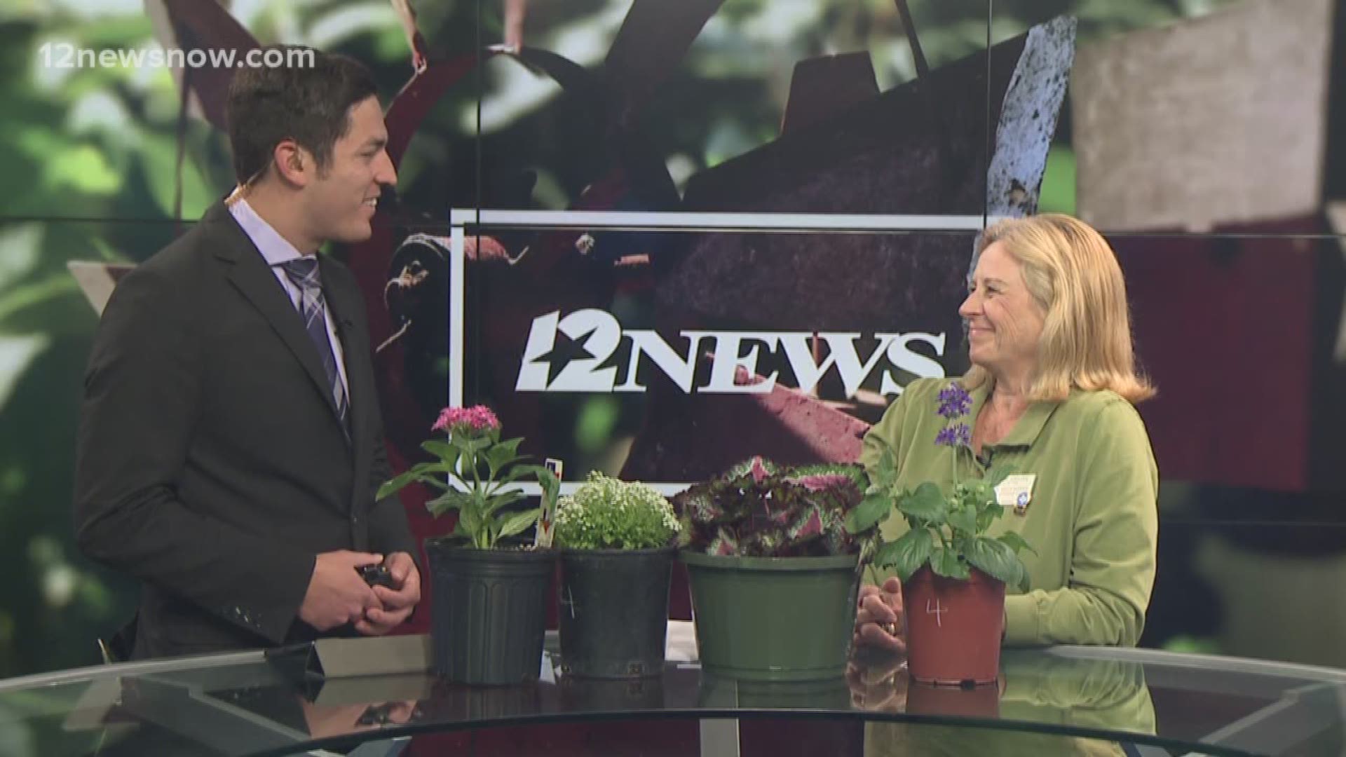 Jeanene Ebeling is here from the Jefferson County Master Gardeners to tell you all about the Spring Plant Sale and Market day