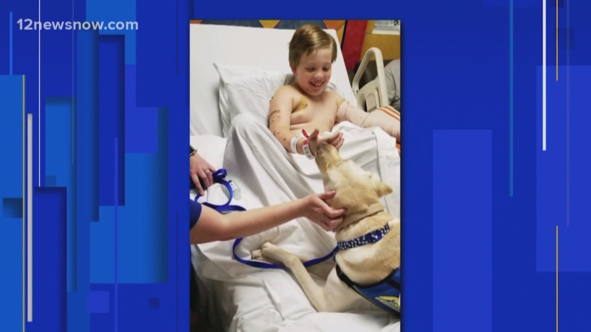 The child's arm was severely injured when the family's dog attacked him