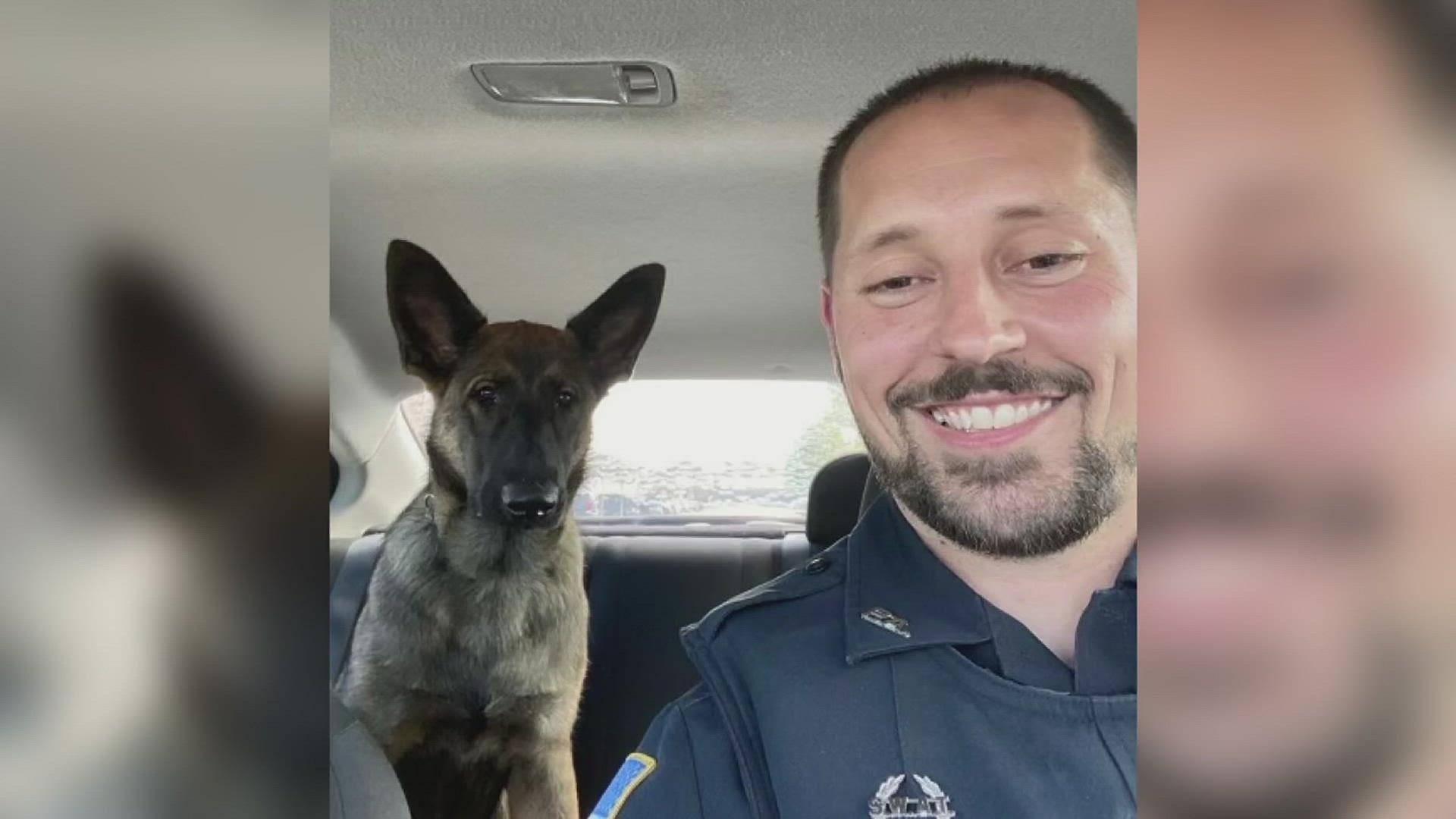 The Port Arthur Police Department is welcoming a cute new furry face to the force.