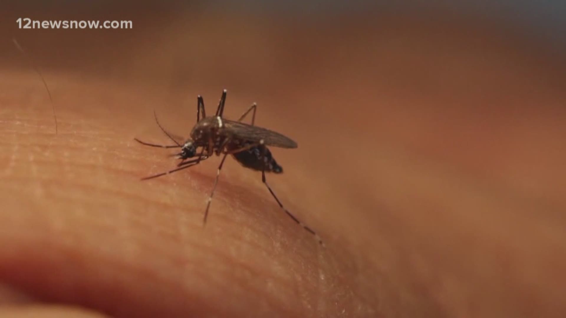Orange and Hardin County  are working together to fight diseases mosquitoes carry.