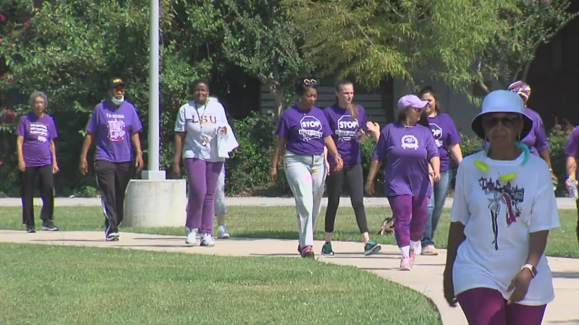 Southeast Texans walk to raise awareness for elder abuse