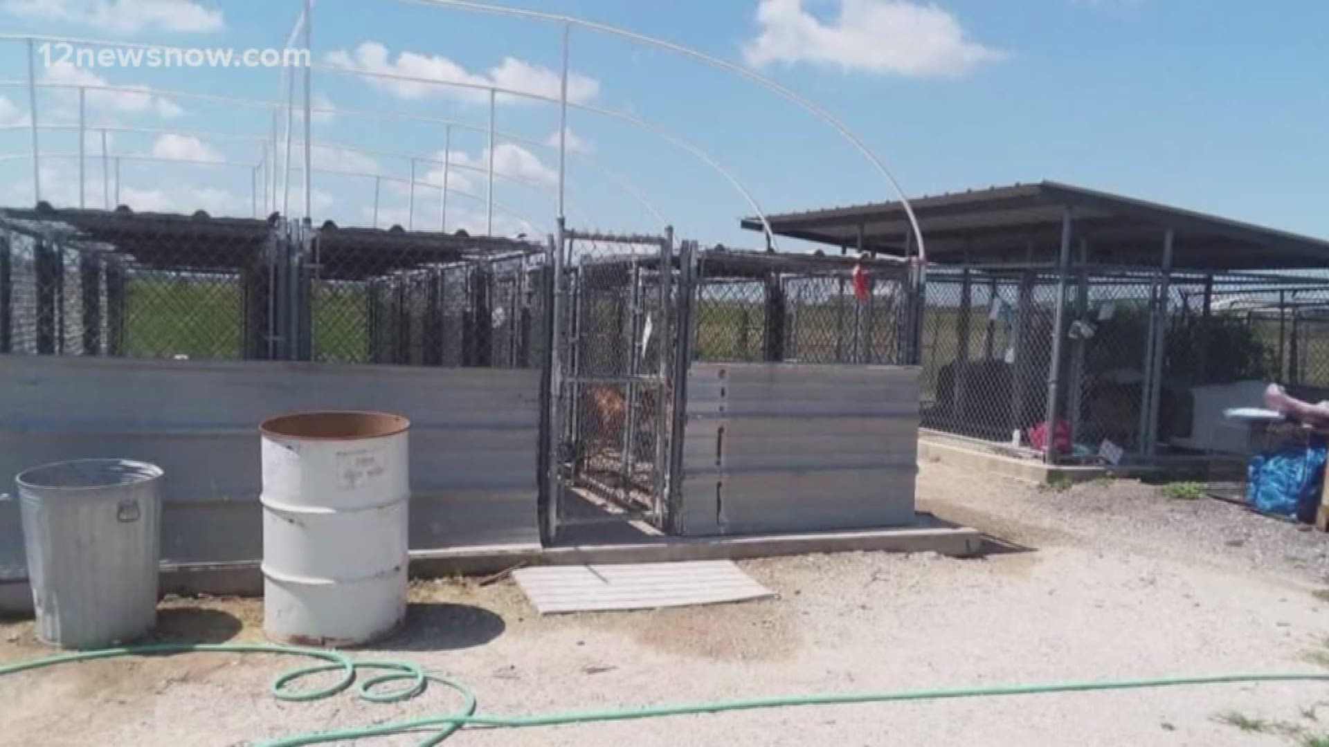 A new shelter was approved back in 2018 but the animals at the shelter in Chambers County are still in temporary kennels.