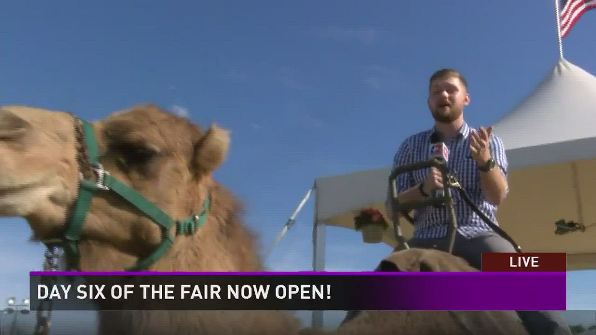 12News' Royden Ogletree and Gumby the camel at the SouthTexas State Fair