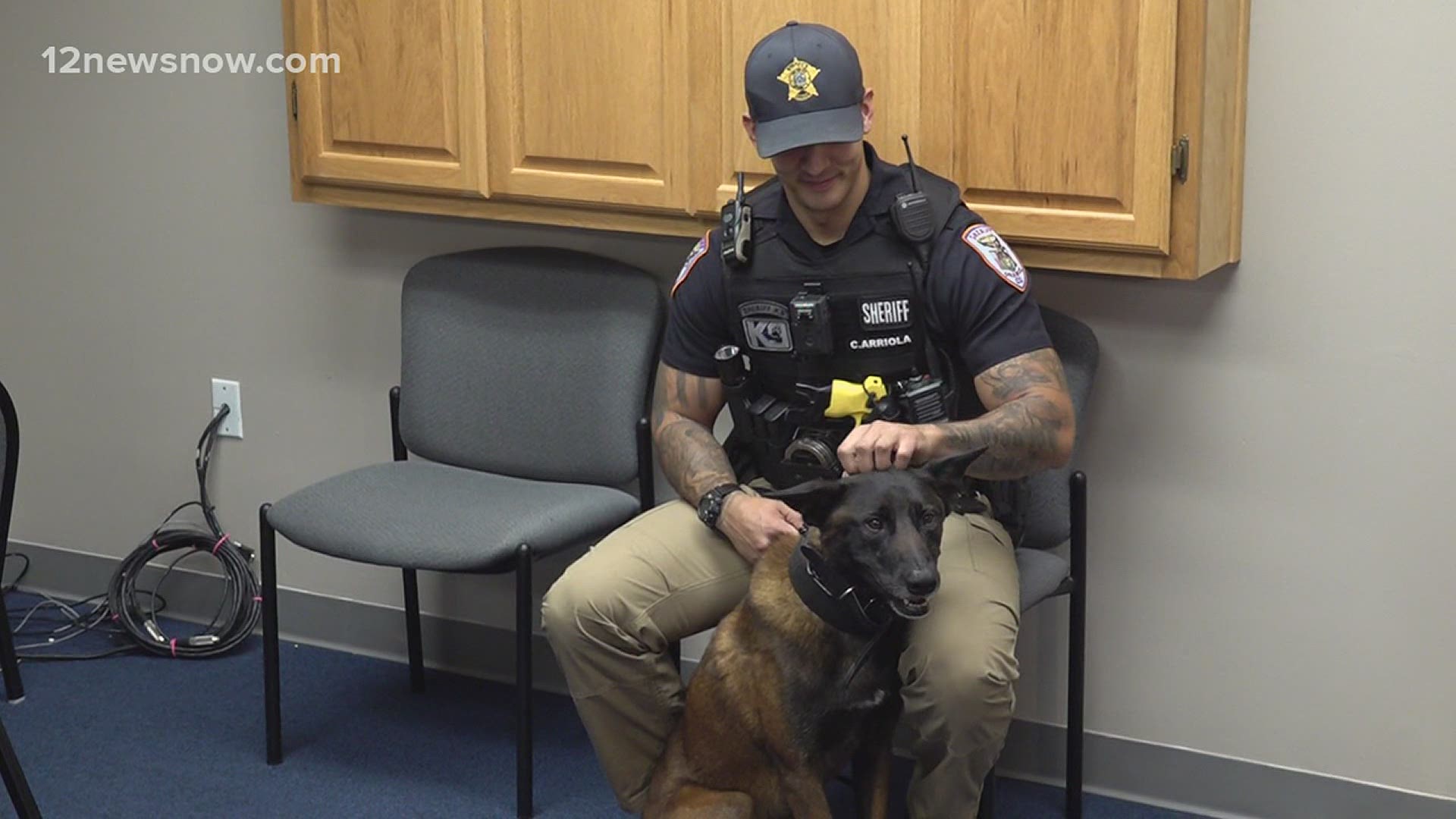 The new teammates are the first K9s in the Orange County Sheriff's Office's history.