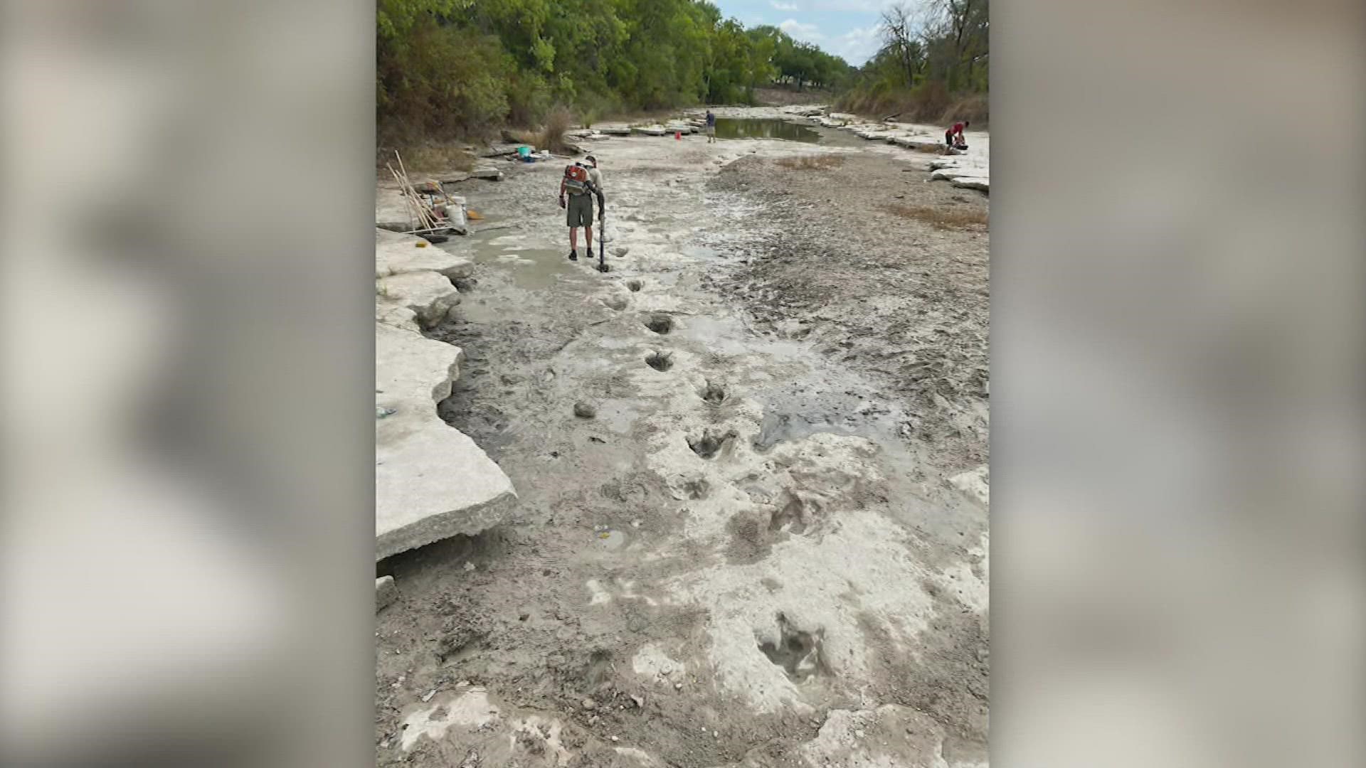 "When it starts raining they will fill up with water and mud. Most likely we will not see them like this again for a very long time," the park said.
