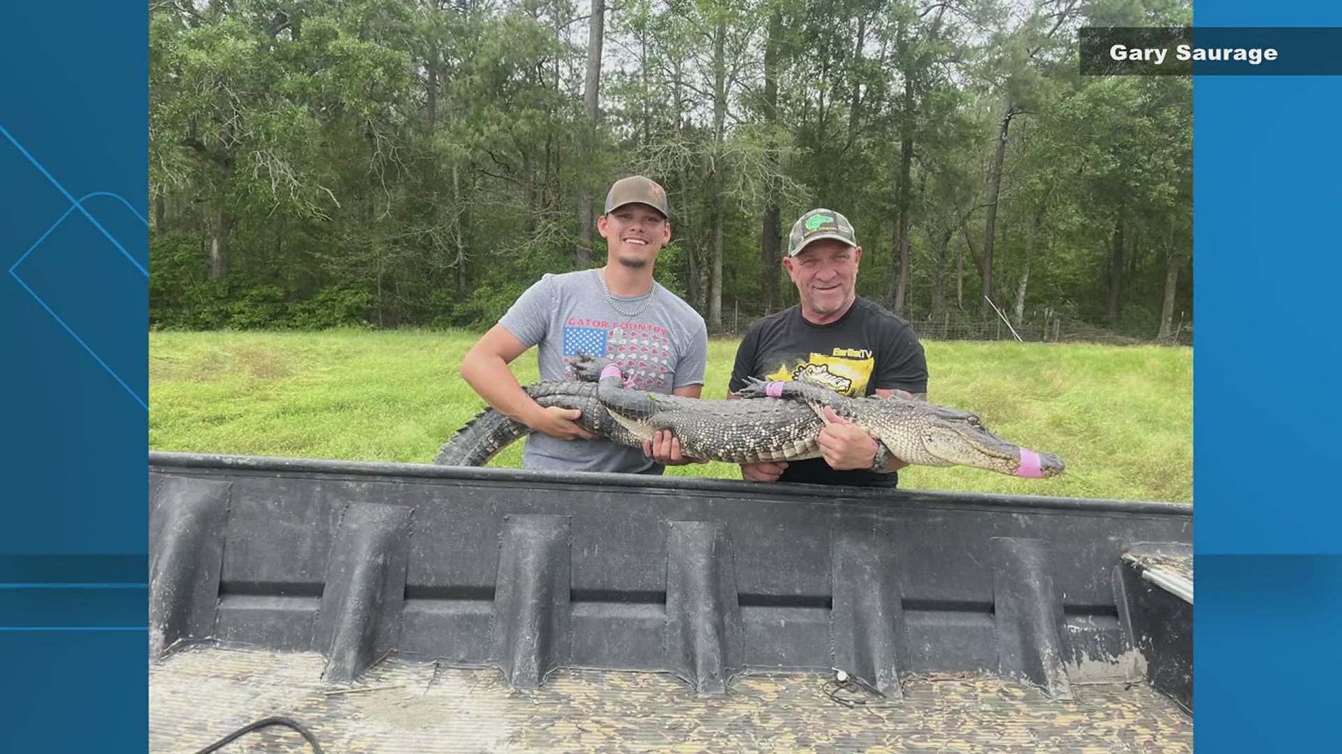 Gary Saurage says the gator was living miles away from its original home, nowhere near it's natural habitat, taking up residence in the catfish pond.