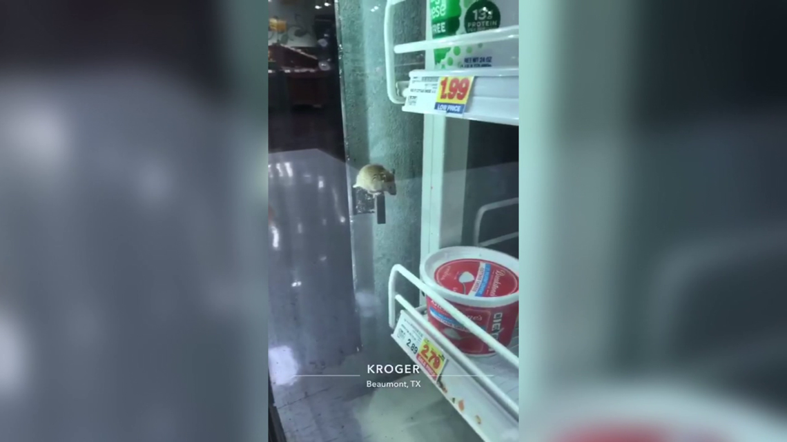 Video shows mouse found inside Kroger on Dowlen Road in Beaumont