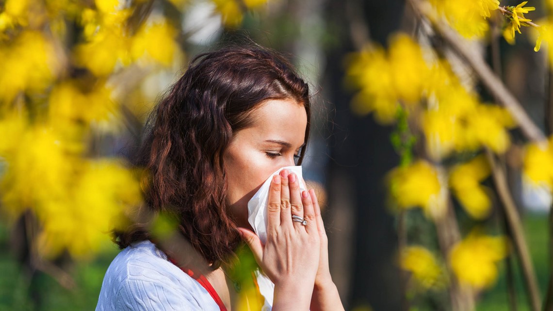 Already feeling allergy season in Southeast Texas? Here's what you need