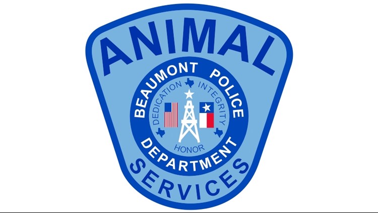 City of Beaumont s animal shelter reduces euthanasia rate by more