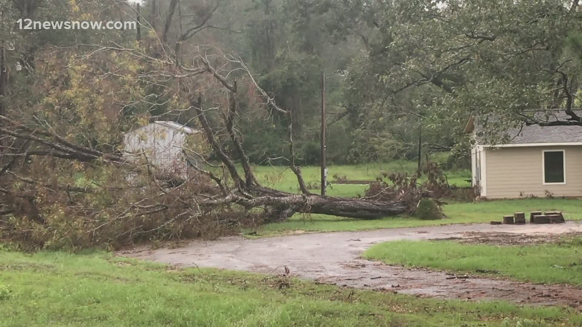 Trees and power lines are still down. Some residents in Newton County may see another week without power.