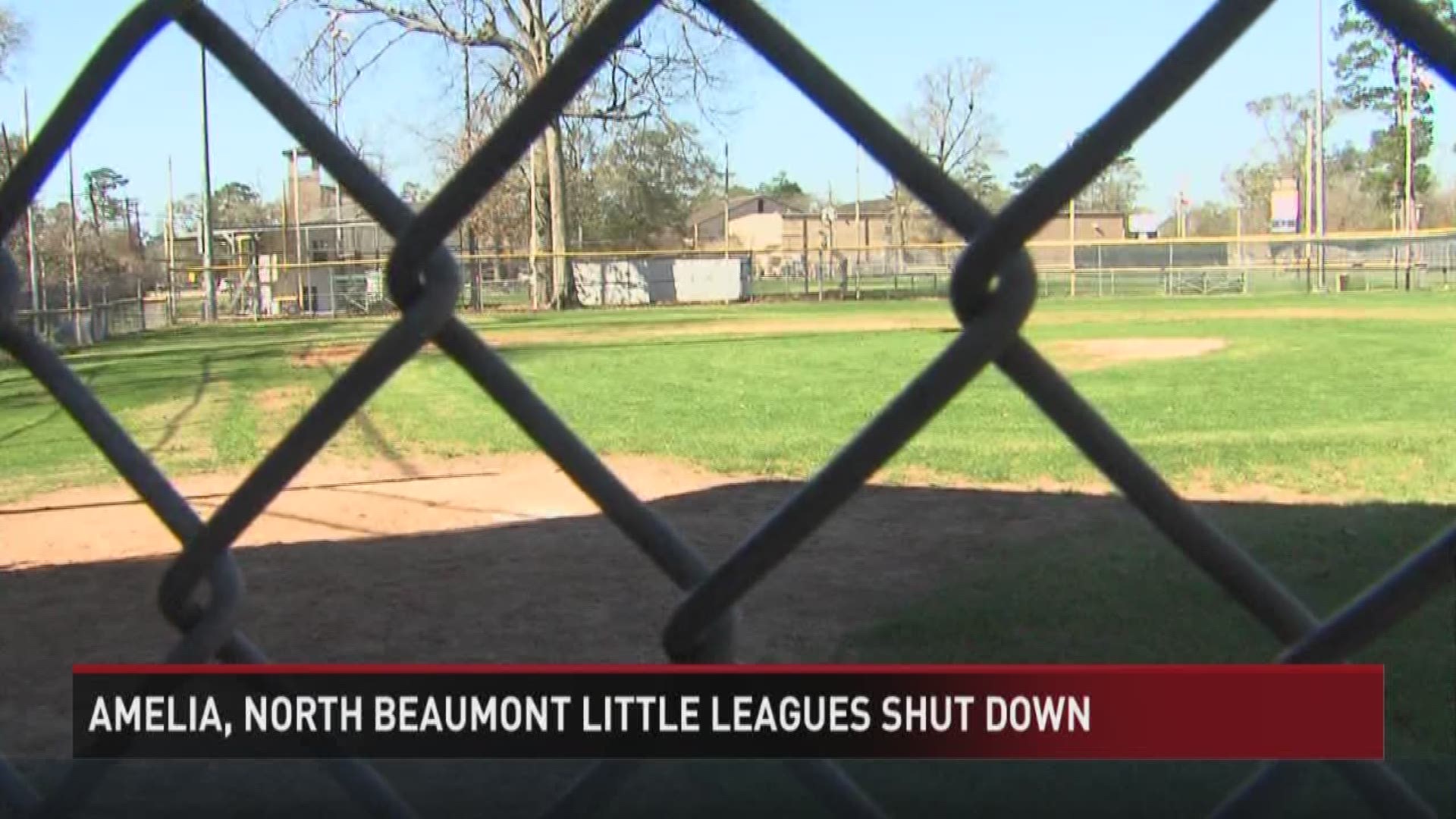 Amelia North Beaumont Little Leagues shut down