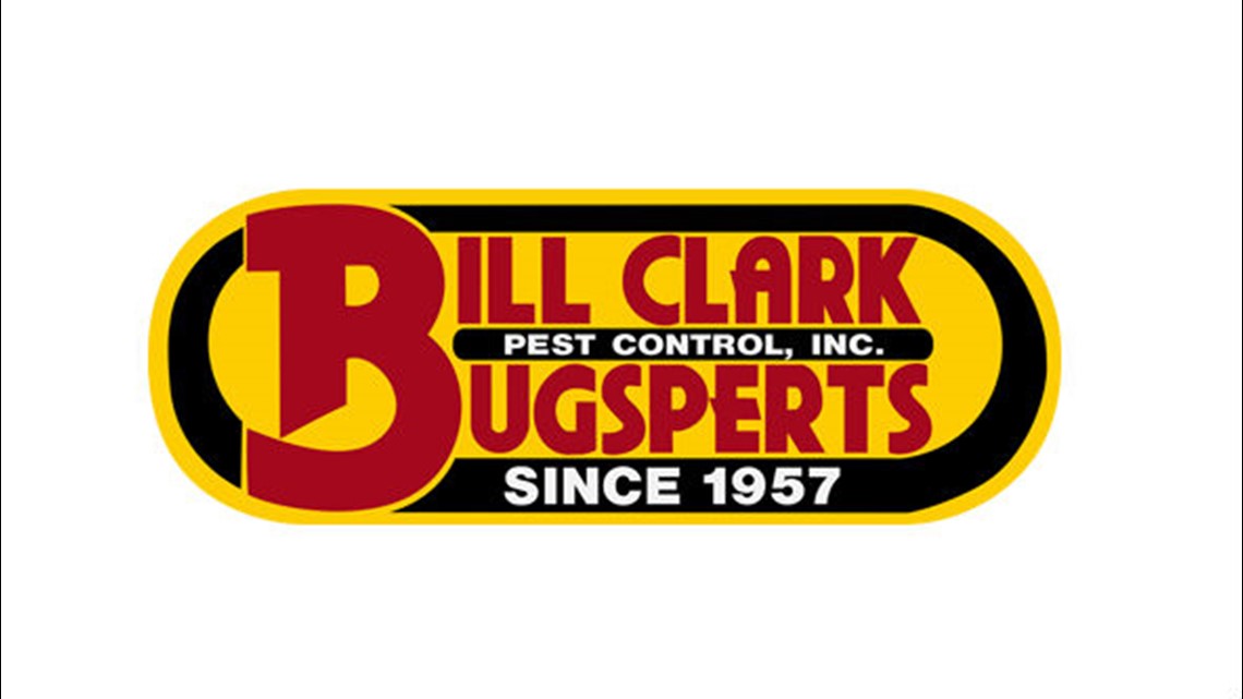 clark pest control jobs