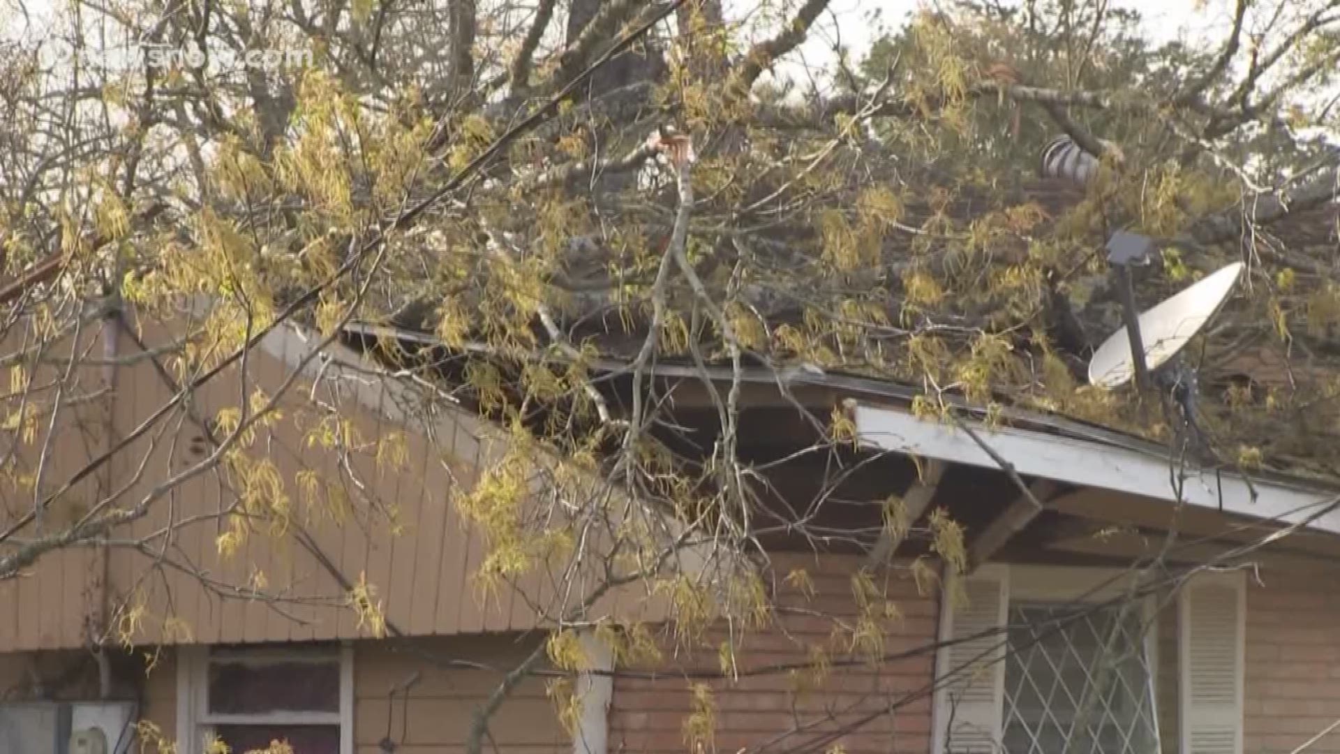 The family heard a "boom" when the tree fell on the house.