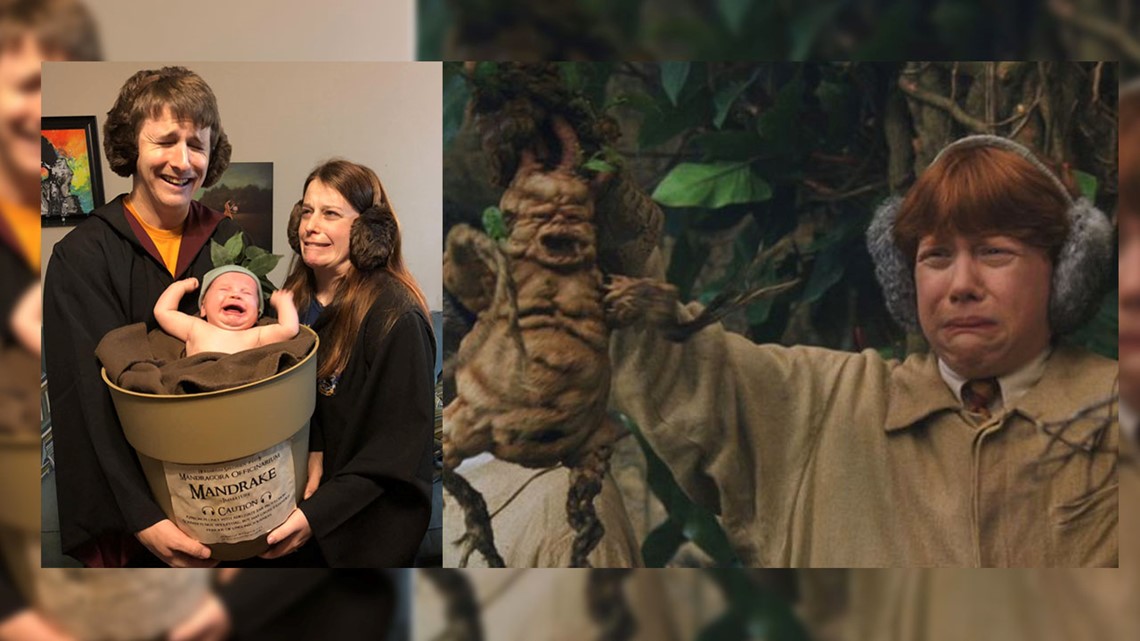 It's a crying Mandrake! Frisco family's 'Harry Potter' costume pic goes  viral