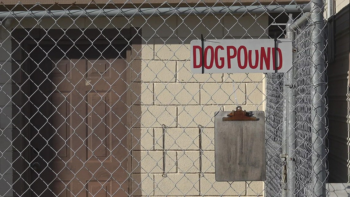 Bridge City animal shelter could be forced to euthanize 10 dogs - Vimarsana News