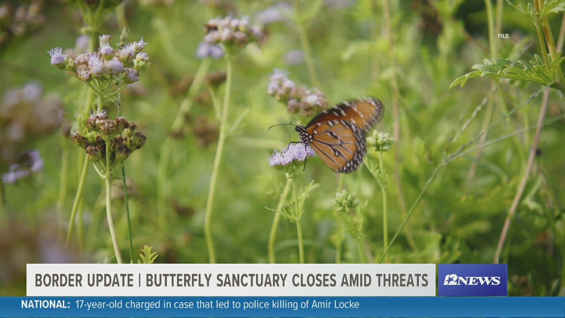 The National Butterfly Center in Mission Texas would usually be open at this time of year.