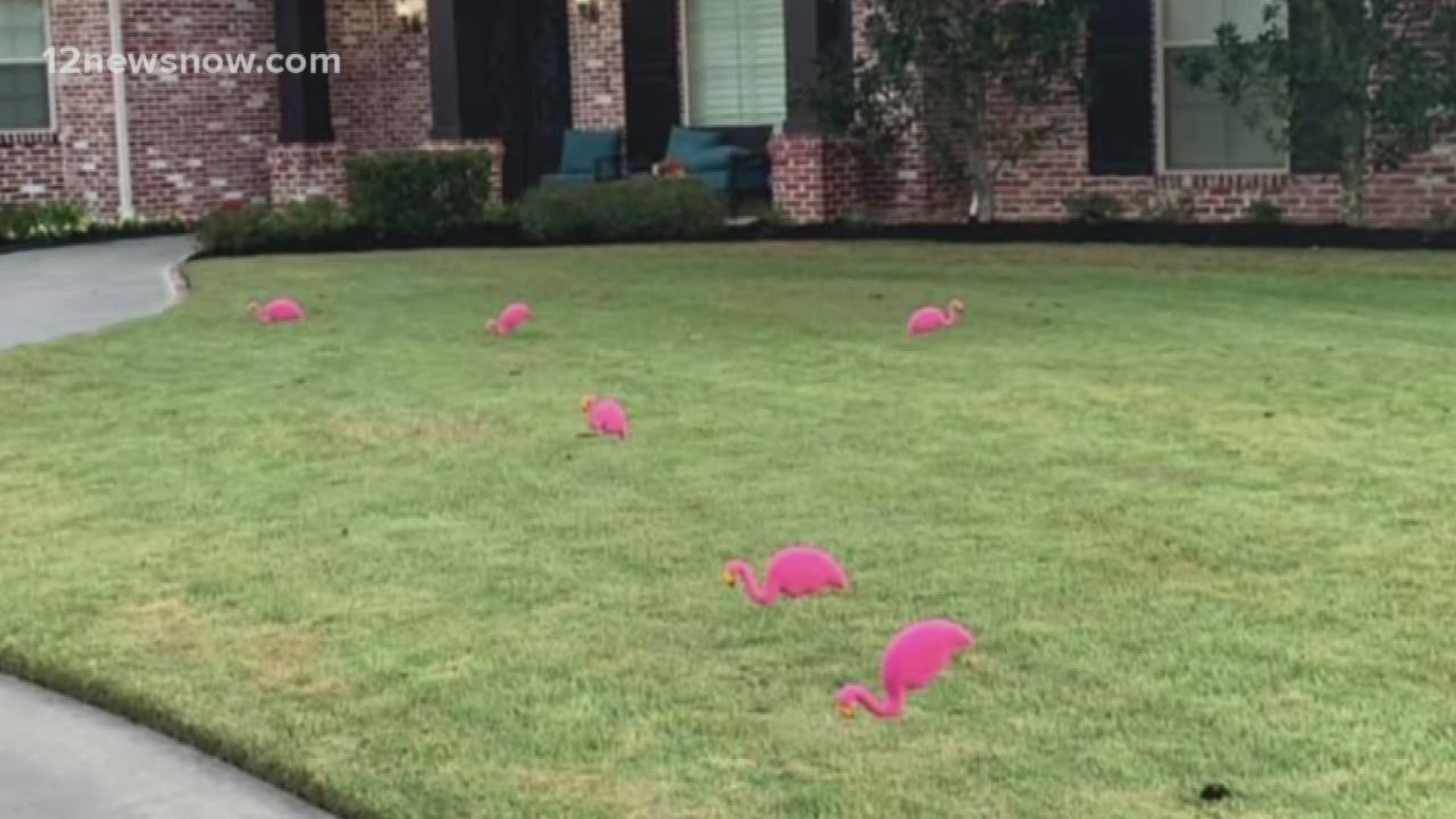 The girls spent five weeks putting plastic pink flamingos in yards at night, encouraging home and business owners to pay $20 in order to have them removed.