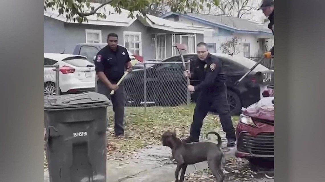 Texas man arrested following deadly San Antonio dog attack, dogs were ...