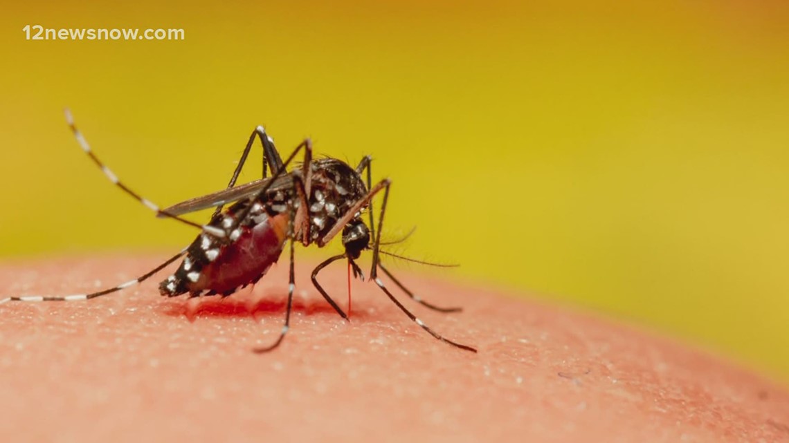 VERIFY Can the summer heat kill COVID19?