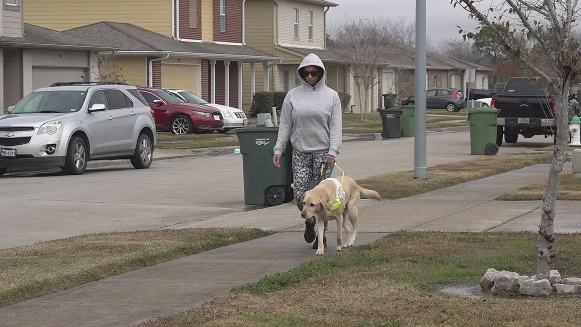 Melissa Jackson says the paratransit bus is the only way she has been able to regain her independence after being diagnosed with a rare eye disease.