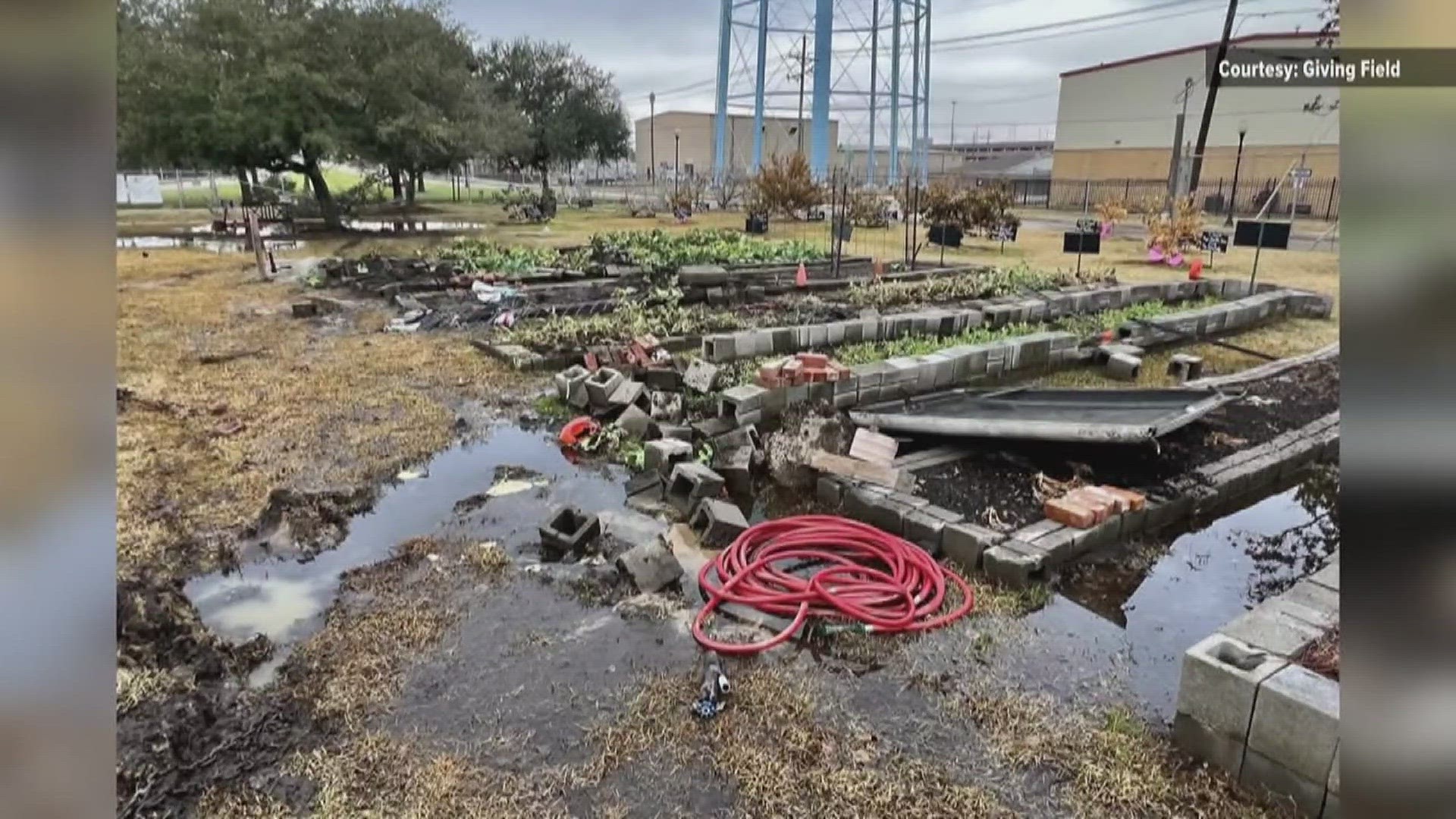 A Beaumont community garden continues mission amid accident