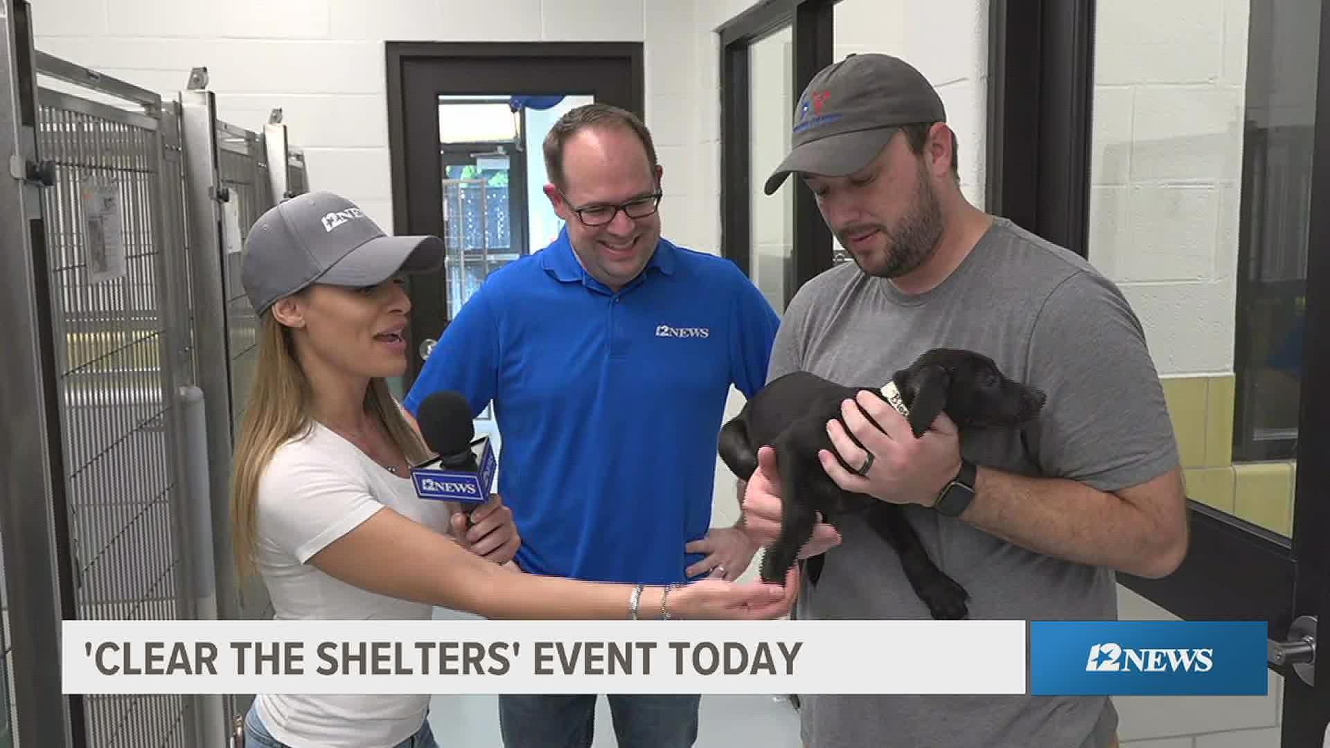12News is joining NBC and Telemundo stations across the country to team up with hundreds of shelters across the country to host Clear the Shelters.