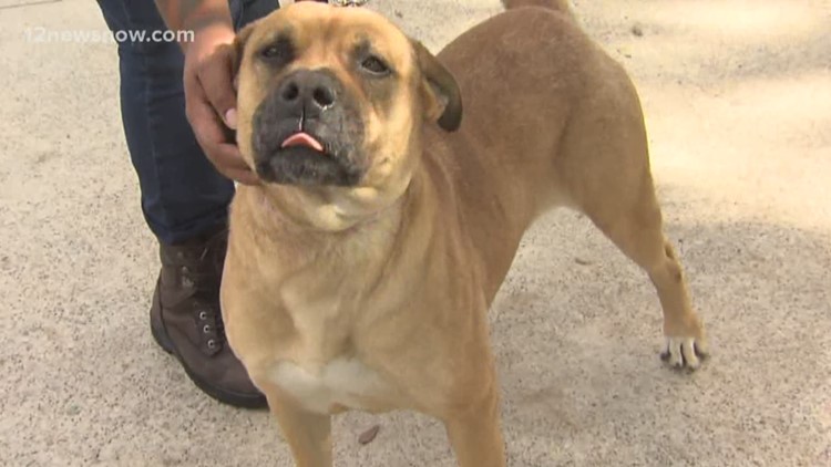 'Big Bertha' loves kids and needs a new family