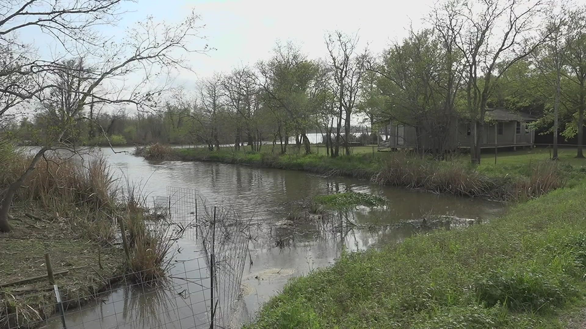 E-Coli samples from water at the bayou came back 3.5 times higher than what is recommended for recreational use.