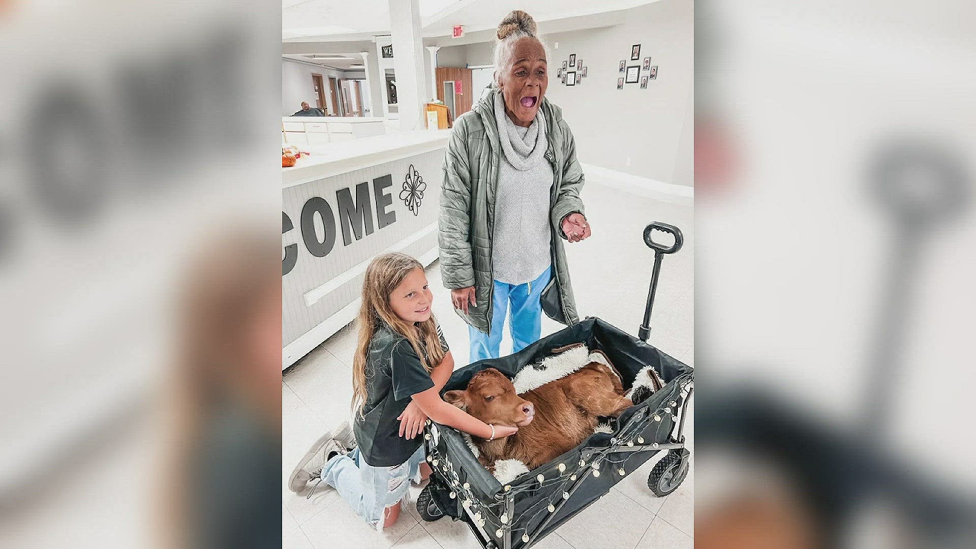 Korra Thomas and her 2-week-old calf "Copper" visited multiple nursing homes in Port Arthur and Groves.