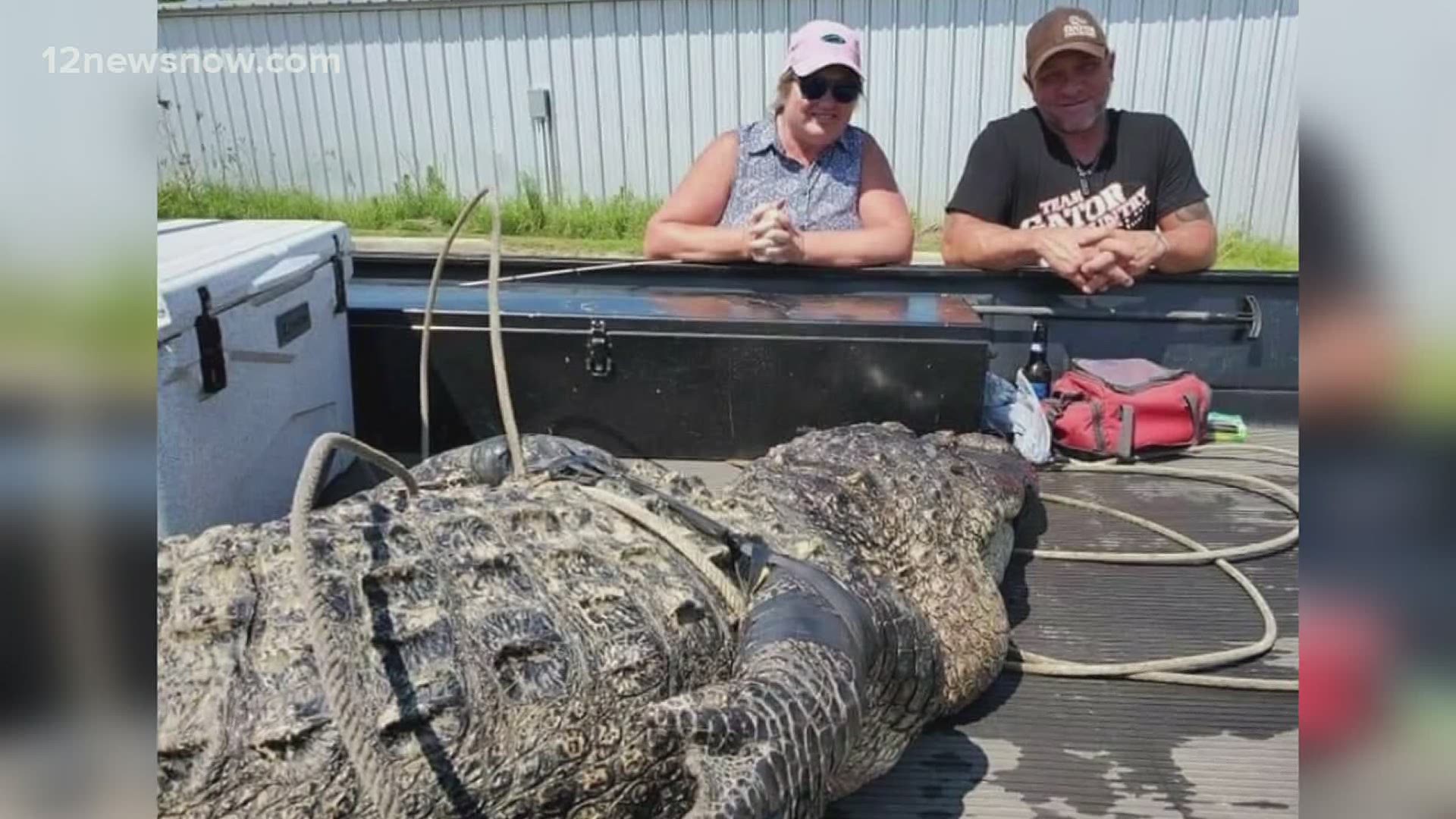 Gator Country captures big alligator in Sam Rayburn Reservoir