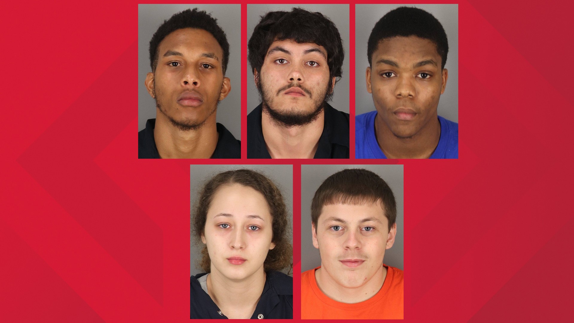 Police Arrest Four Men, Woman In Auto Burglaries, Theft Of Guns ...