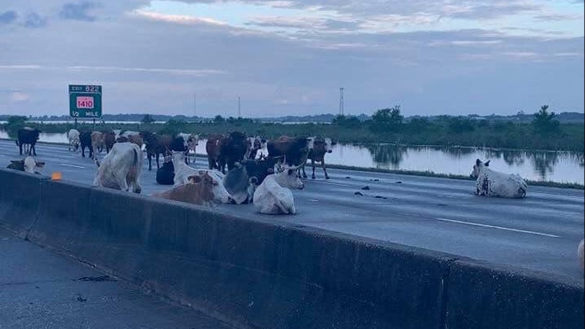 Flooding aftermath near Winnie, Texas