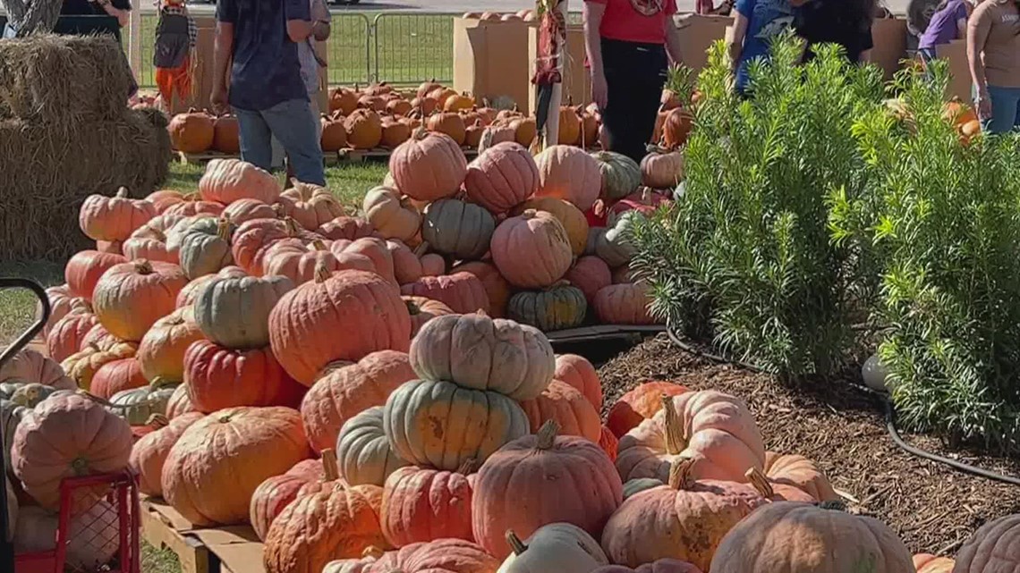 Wesley United Methodist Church annual pumpkin patch opens Friday