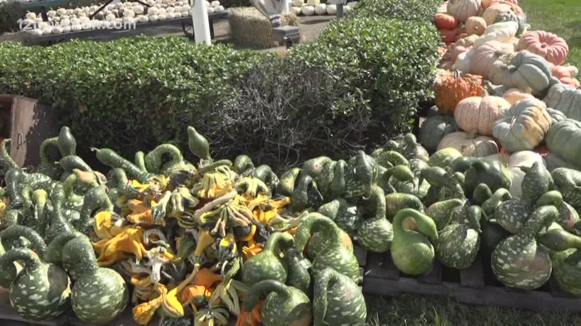 Pumpkin patch season kicking off at Wesley United Methodist Church in Beaumont