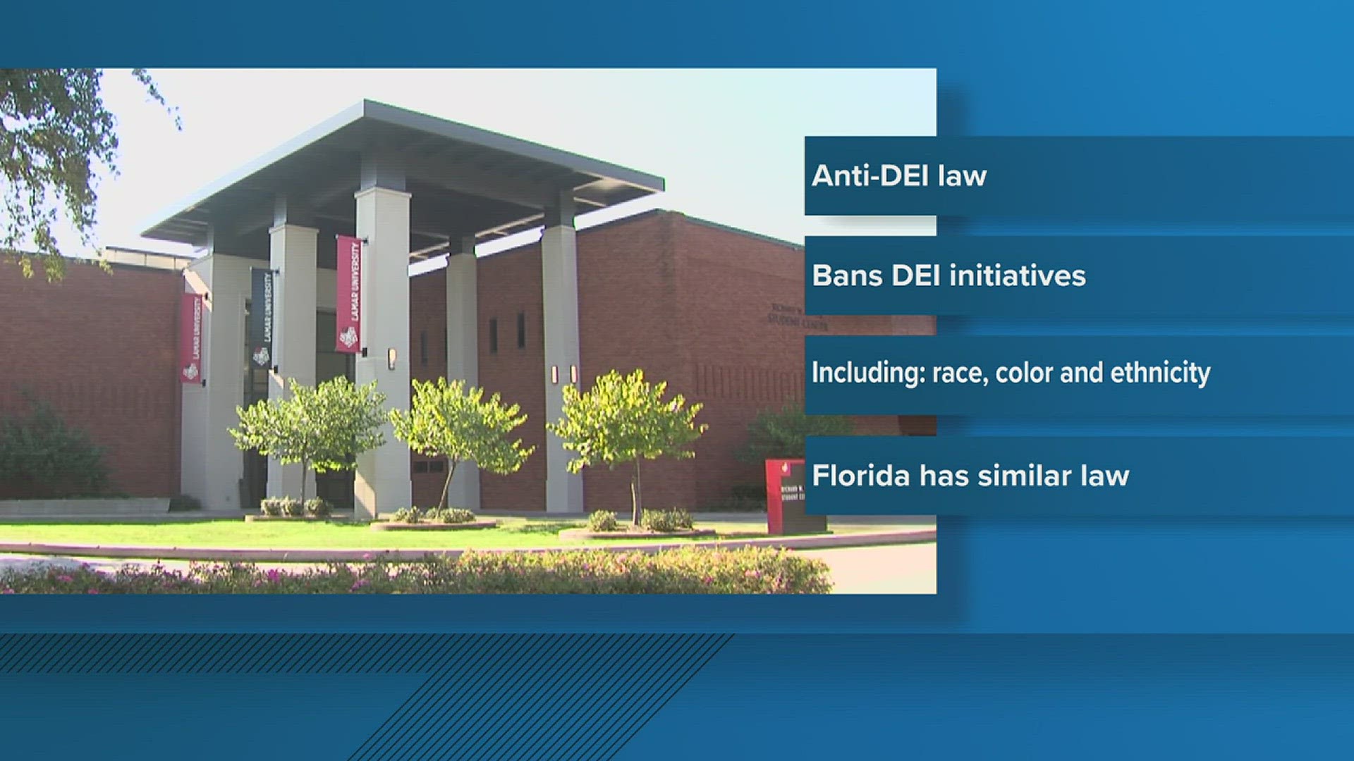 The ban on DEI initiatives and adjustments to HOA fines are among the 30 laws going to effect on New Year's Day.