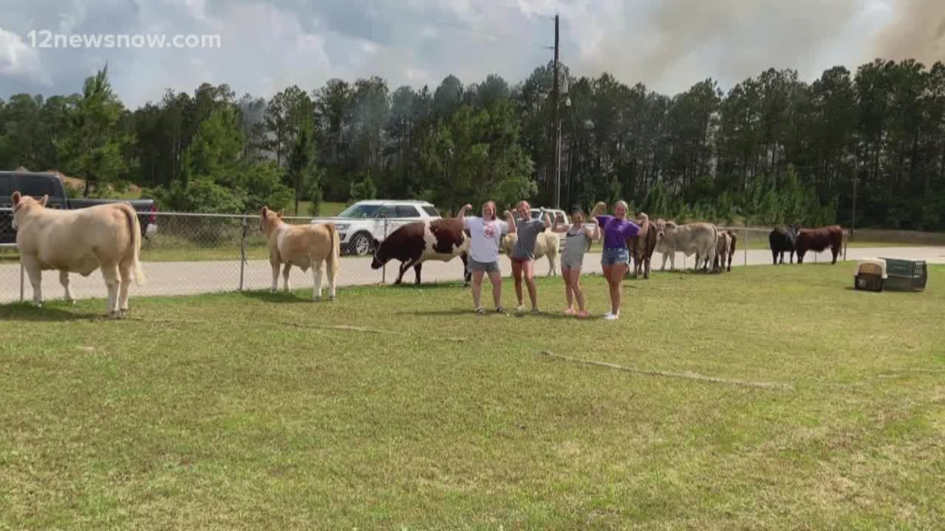 Some students in Lumberton worked Tuesday afternoon to move animals away from the brush fire
