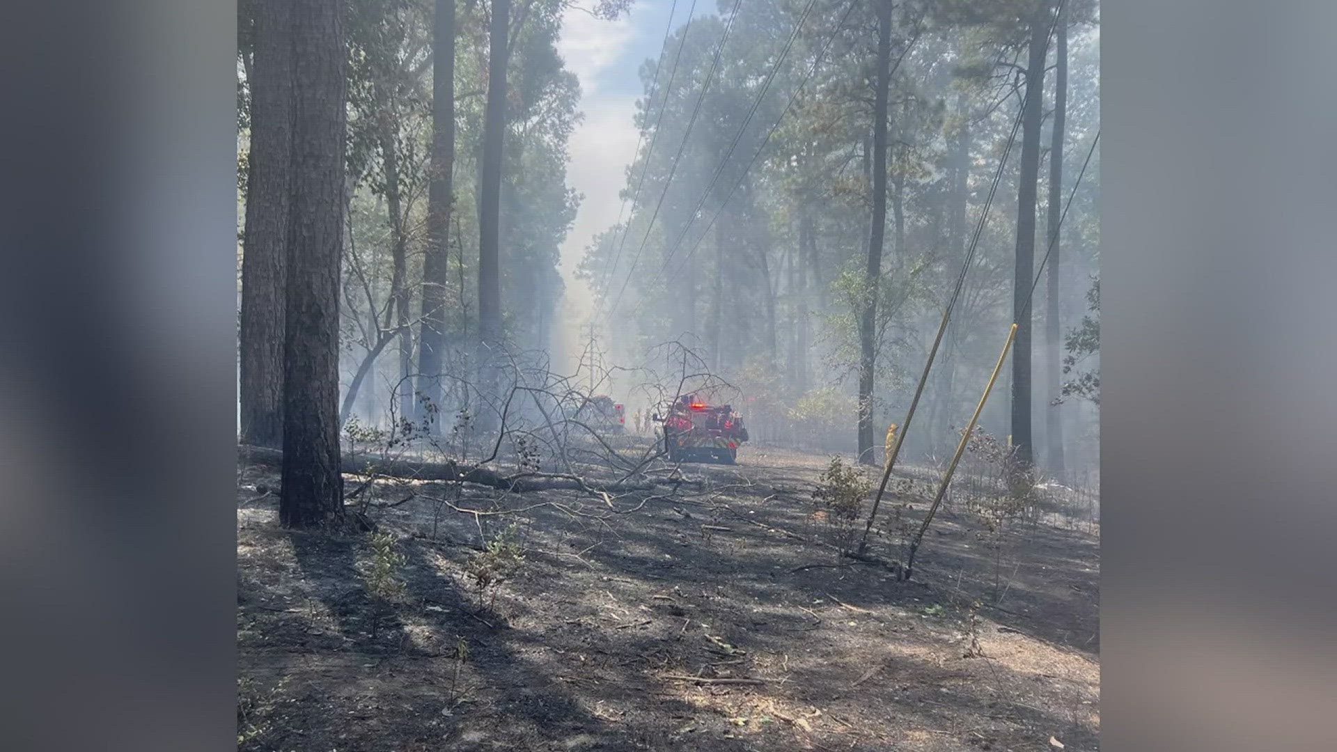 Texas A&M Forest Service was on scene along with the Beech Grove Volunteer Fire Department and the Jasper Fire Department.