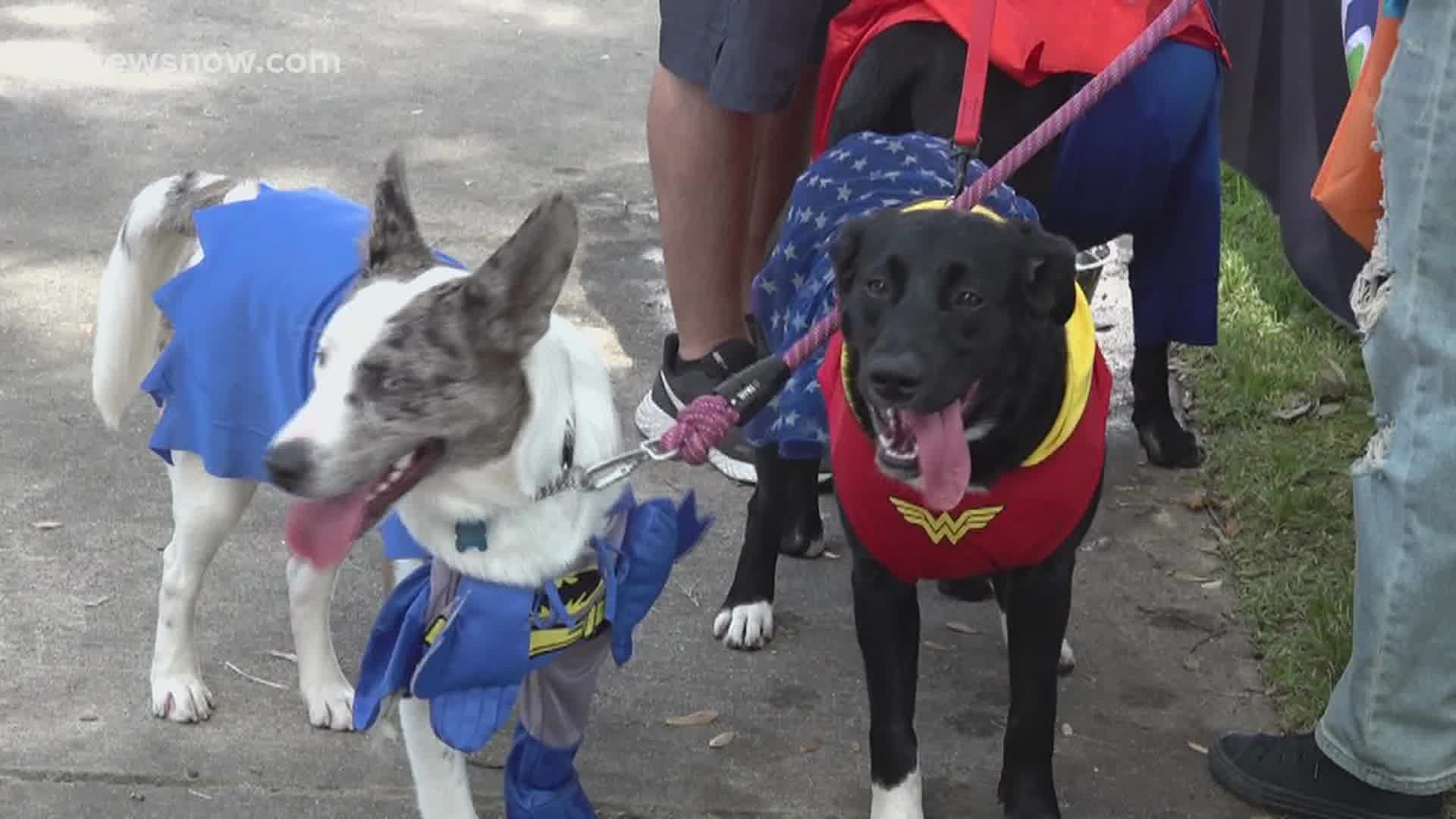 The family-fun event will have a "Strut Your Mutt" parade, paw readings, games for children and dogs to adopt, among other paw-some activities.