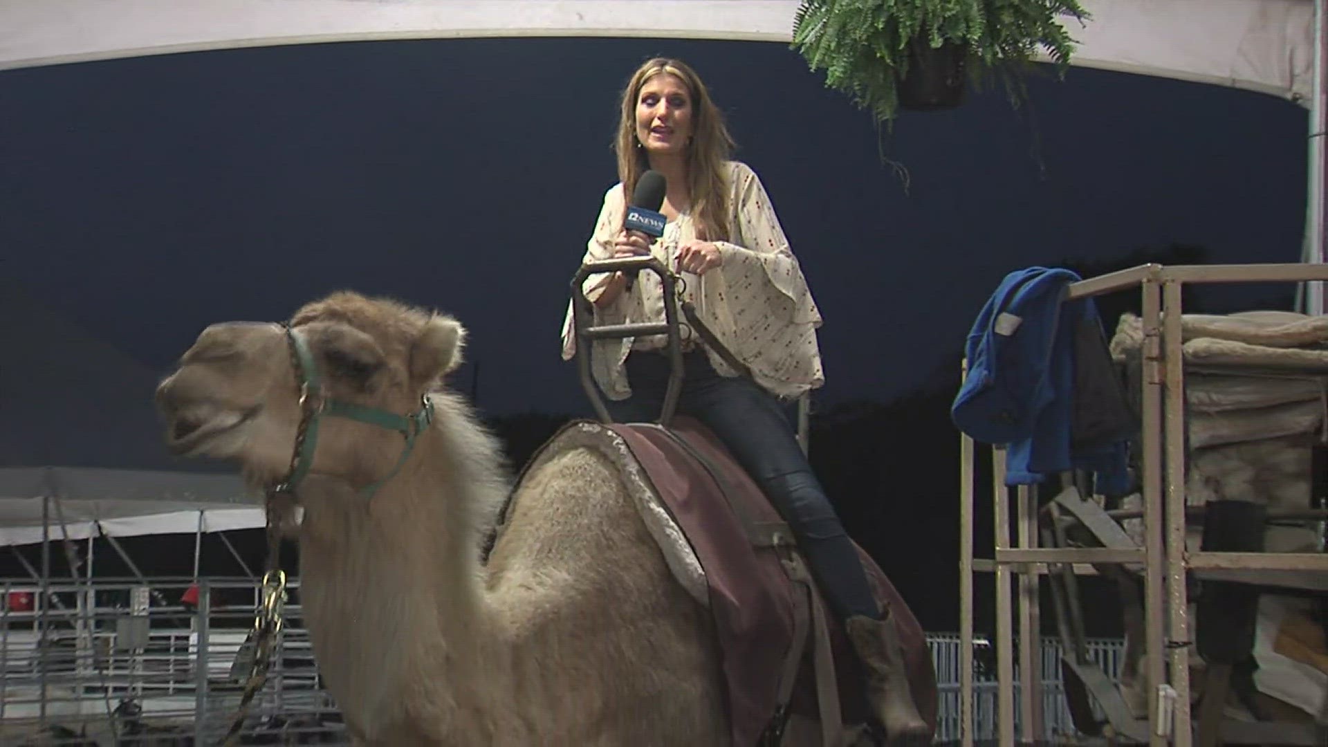 The South Texas State Fair is in full swing this week with rides, food and fun for all through Sunday evening, March 31, 2024.