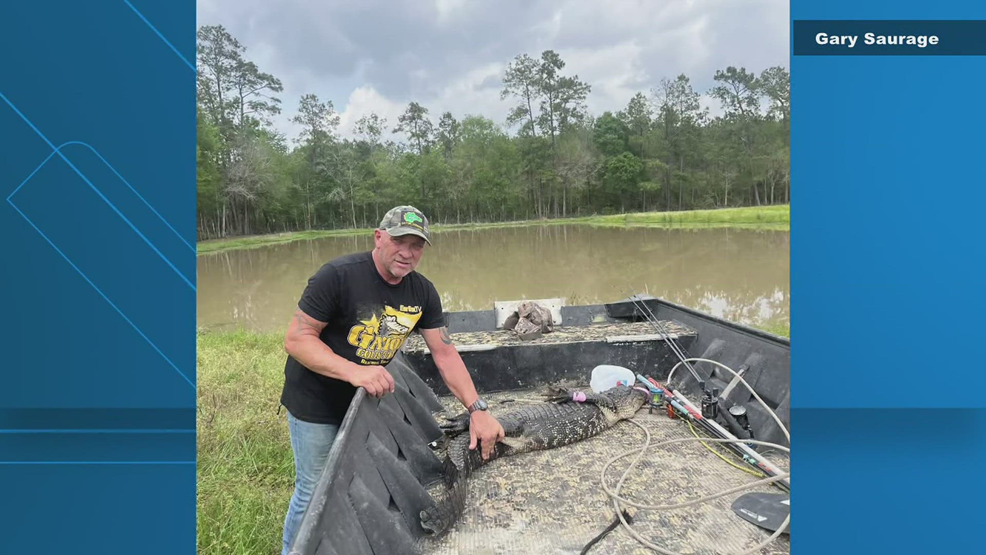 Gator Country employees rescue 'sneaky gator' from Mauriceville pond ...